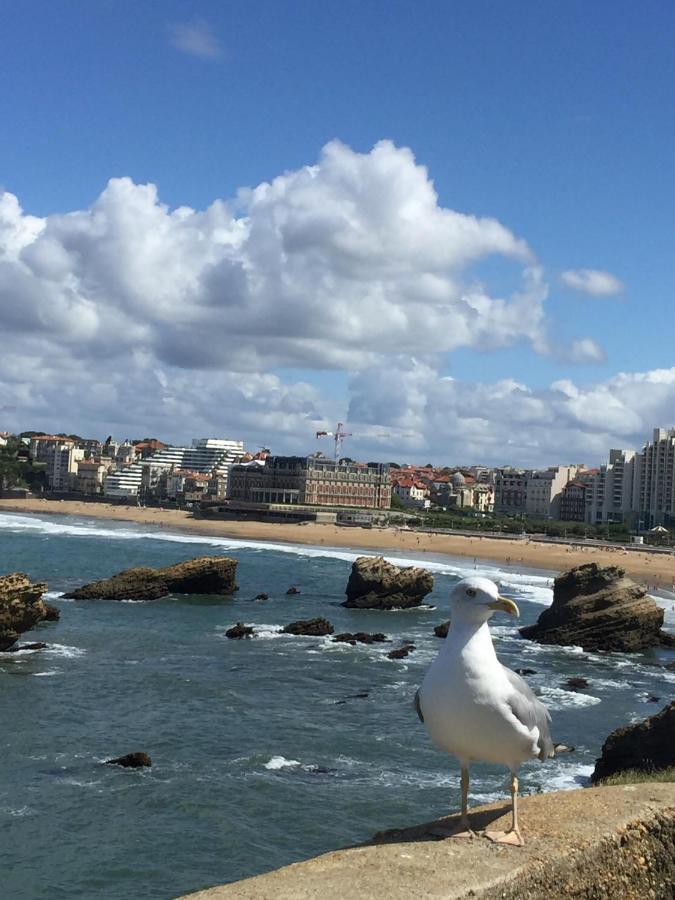 Charmant T2 Biarritz Centre מראה חיצוני תמונה