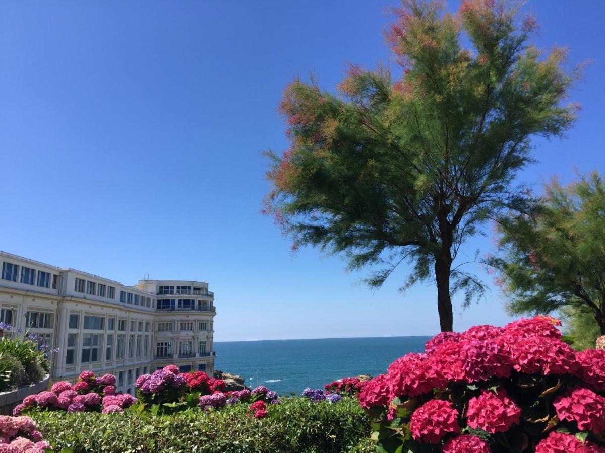 Charmant T2 Biarritz Centre מראה חיצוני תמונה
